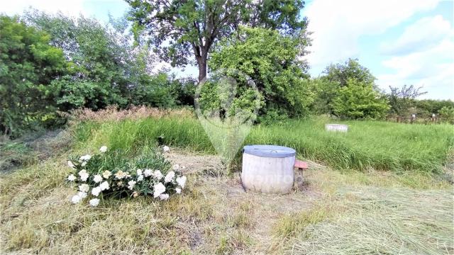 Дом на продажу в Чулково, ул Низовка, д. 52 фото №15