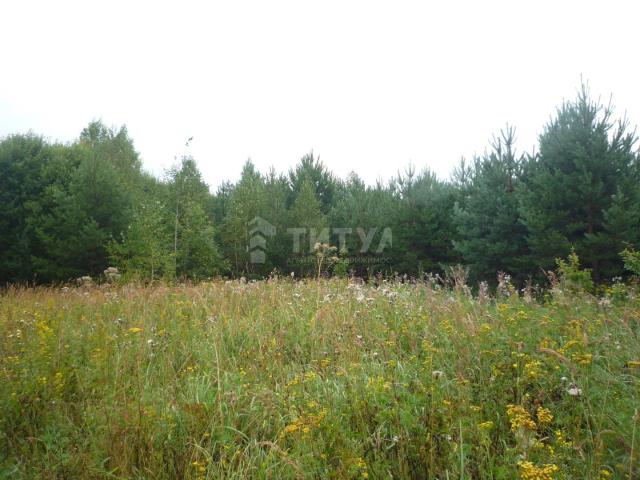 Участок на продажу в Селиверстово, Рассветная улица, д.129 фото №4