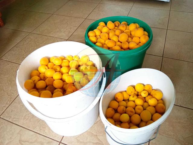 Участок на продажу в Нижняе Катуховке, улица Есипова, 53 фото №5