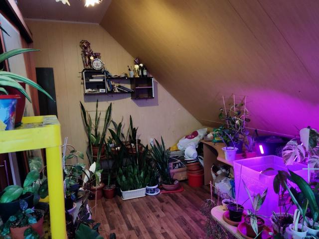 Дом на продажу в Пекино, Пекино д. фото №5