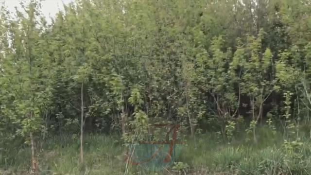 Участок на продажу в Малых Горках, улица Комарова, 15 фото №2