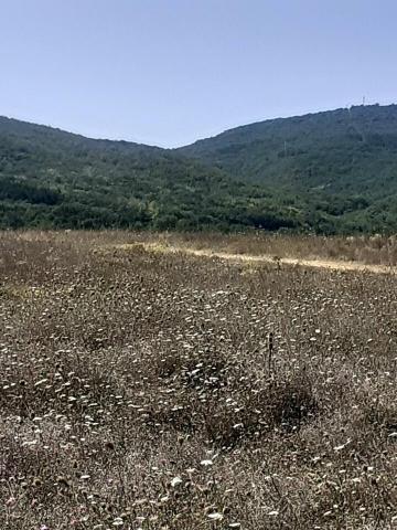 Участок на продажу в Танковом, Садовая улица фото №2