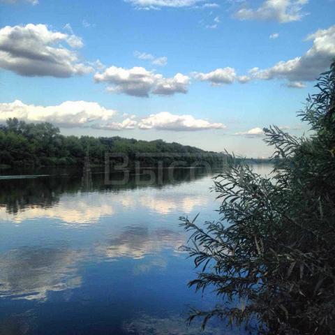 Участок на продажу в Борщево, улица Верный Путь, 22 фото №4