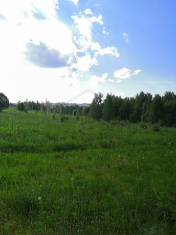 Дом на продажу в Пучково, Центральная улица, д.130 фото №7