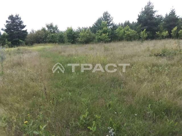 Участок на продажу в Пчельниках, Центральная, 17 фото №0