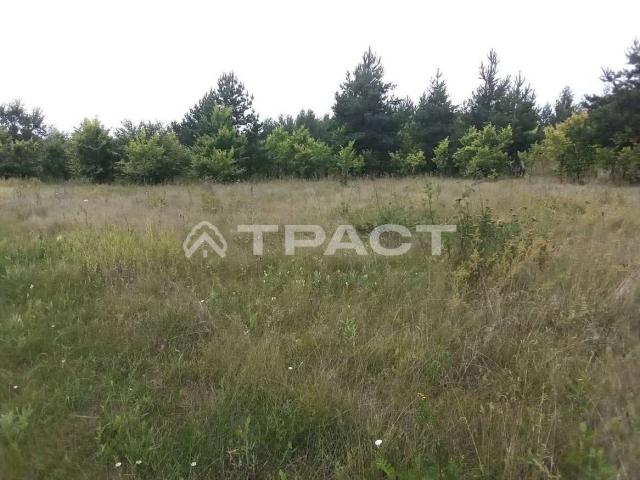 Участок на продажу в Пчельниках, Центральная, 17 фото №15