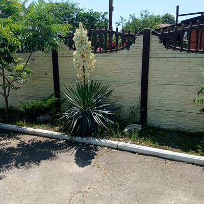 Дом на продажу в Майкопе, Железнодорожная ул, 361 фото №5