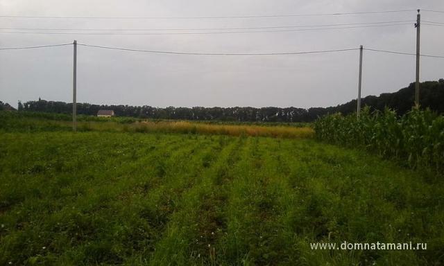 Участок на продажу в Курчанской, Щорса ул. фото №0