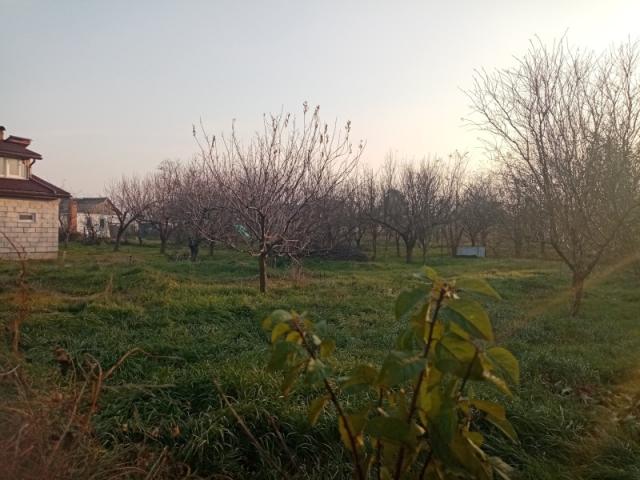 Участок на продажу в Курчанской, Кирова ул. фото №1