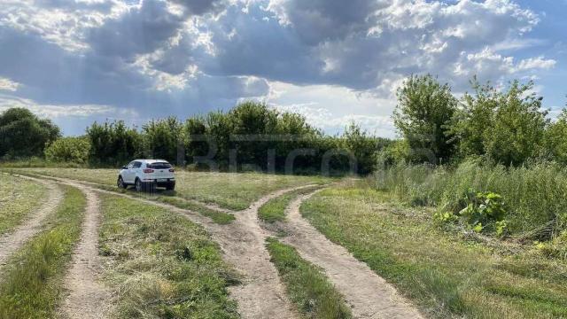 Участок на продажу в Новоживотинном, улица Новосёлов фото №2