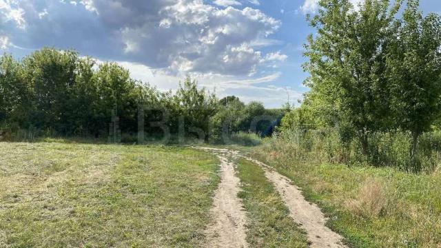 Участок на продажу в Новоживотинном, улица Новосёлов фото №3