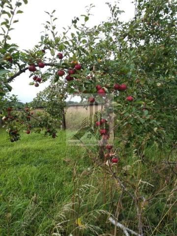 Дом на продажу в Оржице, Леволовская ул, 7 фото №0