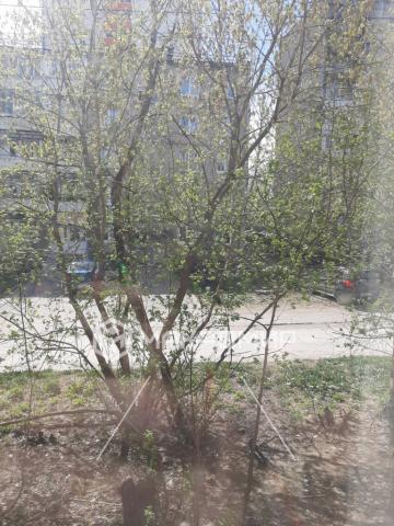 Квартира на продажу в Большом Савино, Вильямса ул., 45 фото №13