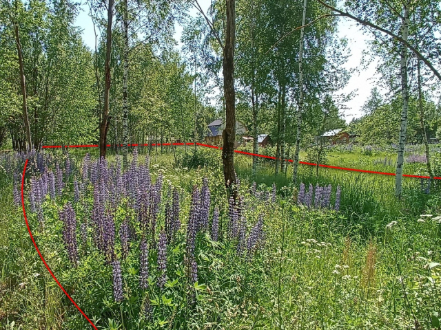 Участок 15 соток, ИЖС, в д. Алексино, в д. Алексино, все коммуникации по границе фото №10