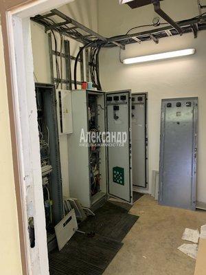 Помещение свободного назначения в аренду в Санкт-Петербурге, Комендантский пр-кт, д. 9 фото №4