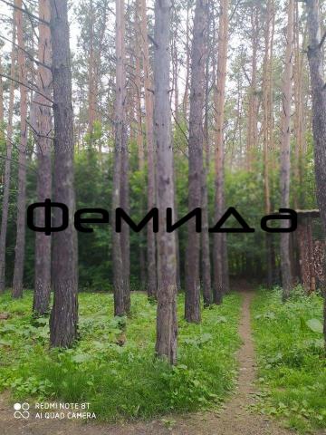 Квартира на продажу в Красноярске, Лесная улица, д.81 фото №6