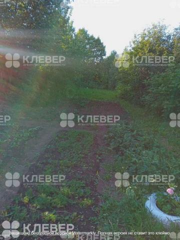 Дом на продажу в Чернушке, Лесная улица, 3 фото №8