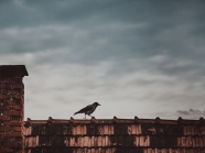 Последний этаж: все ЗА и ПРОТИВ